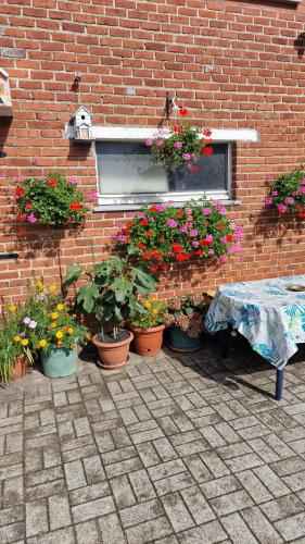 mignon, Soumagne (foto 5)
