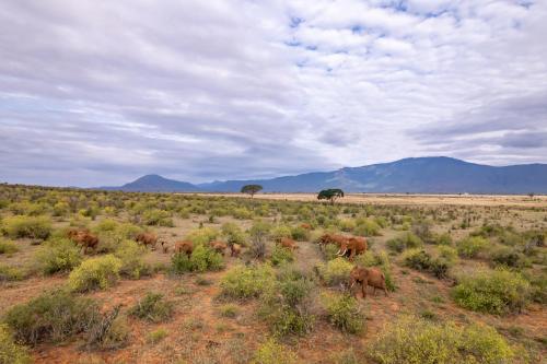 Sentrim Tsavo Lodge