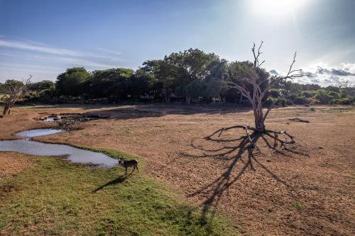 Sentrim Tsavo Lodge