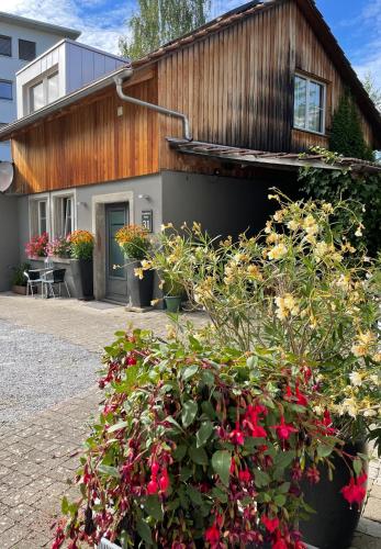 Gästehaus River Inn - image 7