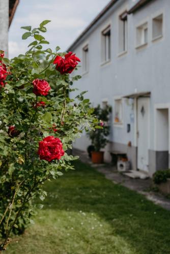 Ferienwohnung Morgensonne in Schützen am Gebirge, Österreich