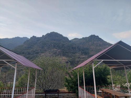 Surrounding environment, Forest Guest House in Alaverdi
