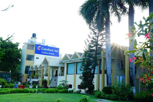 Comfort Inn Coral River photo 4