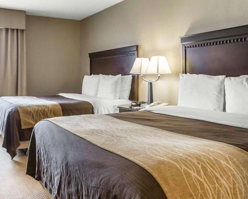 Comfort Inn & Suites near Tinley Park Amphitheater