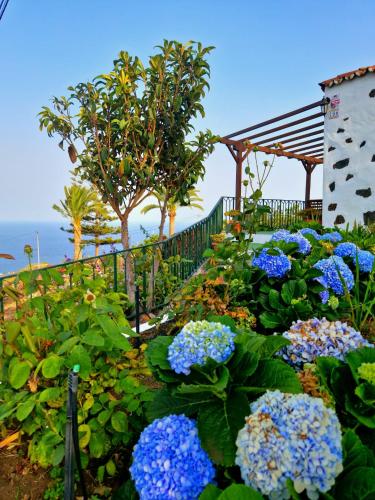 Casita Canaria con Vista - image 12