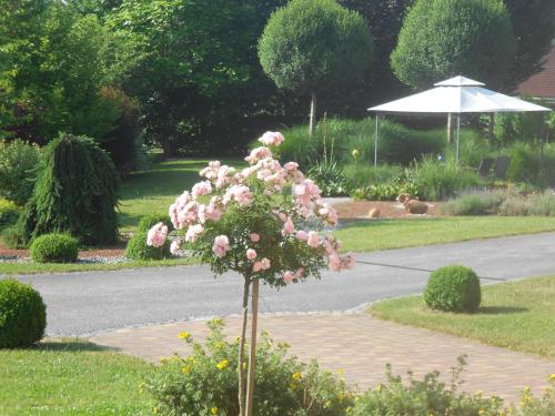 Hotel Garni Landhaus Florian - image 3