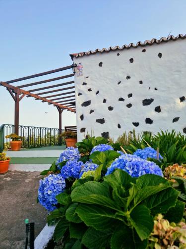Casita Canaria con Vista - image 7
