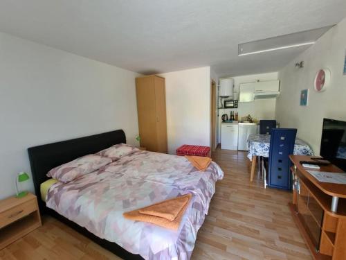 Apartma Patricija for 2 - Apartment - Tolmin