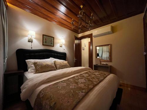 Lily Mansion, Istanbul (foto 4)