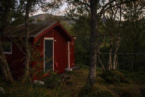 B&B Risøyhamn - Rustic wilderness hut - Vesterålen / Lofoten - Bed and Breakfast Risøyhamn