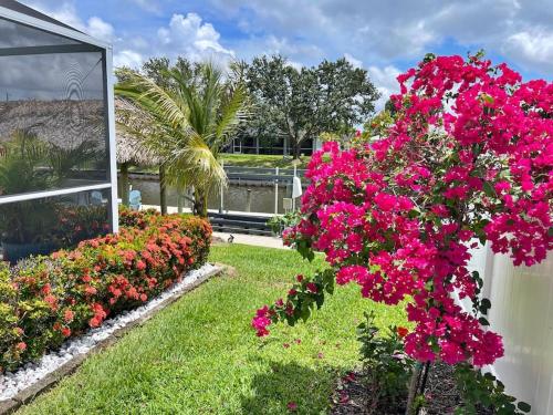 Heated pool, Family Fun, Tiki Bar, kayak, 3bd 2ba, Cape Coral (Foto 8)
