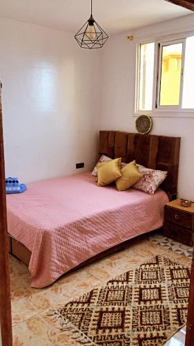 K11 surf hostel