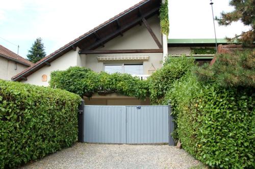 Charmant appartement entouré de nature et de calme - Apartment - Besançon