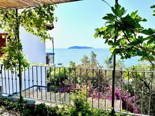 Villa Athena Skiathos