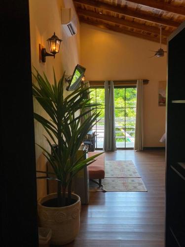 전망, Millenium Manuel Antonio Park and beach in 쿠에포스