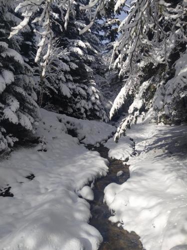 Studio 3 personnes au pied des piste plateau de Bonascre - Ax 3 domaines Eté Hiver