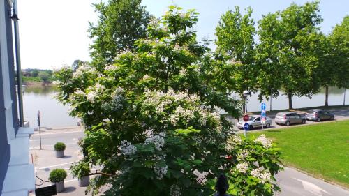 Hostel Levicki - image 6