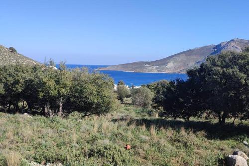 Tilos Pearl in Tilosa