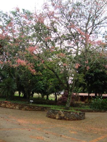 Hotel Fazenda Vale Formoso