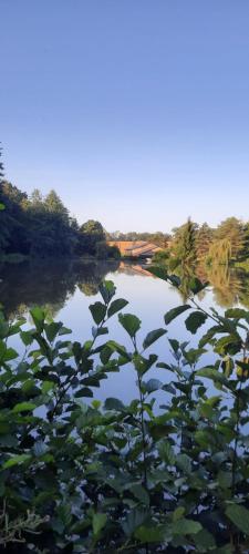 Les étangs du moulin d'Harcy (Les etangs du moulin d'Harcy) in Lonny