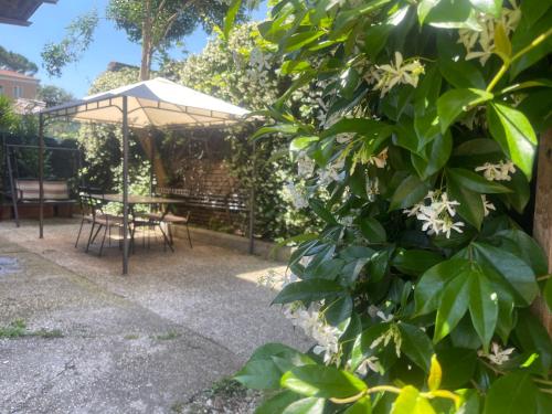 Appia Park apartament 10 min dal Colosseo, Rzym (zdjęcie 5)