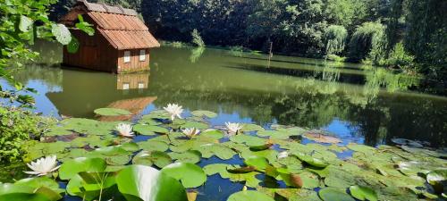 Les étangs du moulin d'Harcy (Les etangs du moulin d'Harcy) in Lonny