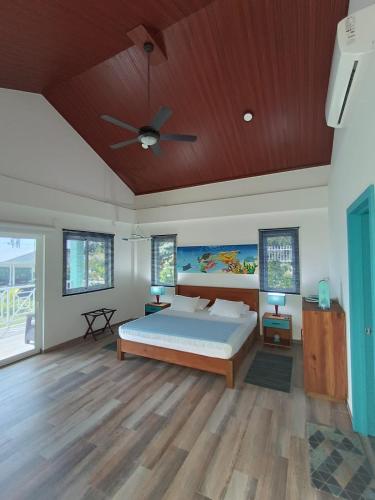Blue Lizard House in San Andres Island