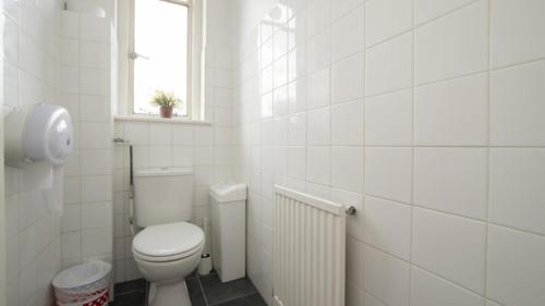 The Walrus Bar and Hostel Room Type - Bed in 6-Bed Mixed Dormitory Room (Shared Facilities)