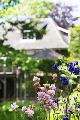  B&B Ter Poele in Avelgem