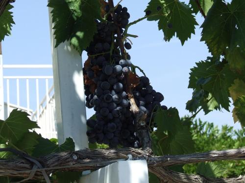 Villa Palas Apartments 2 - image 10