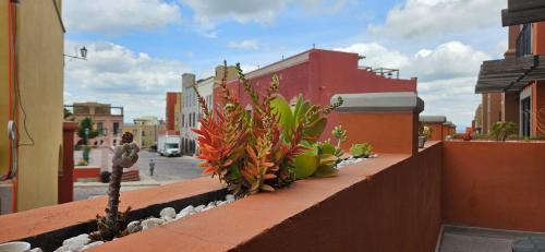 Encantador departamento a 10 minutos del centro histórico (Encantador departamento a 10 minutos del centro historico) in ลา เลโคนา