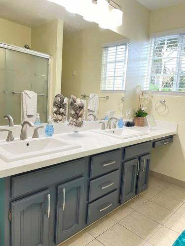 Santa Barbara Serenity Large 1-bedroom Guest Apt. in Santa Barbara, USA