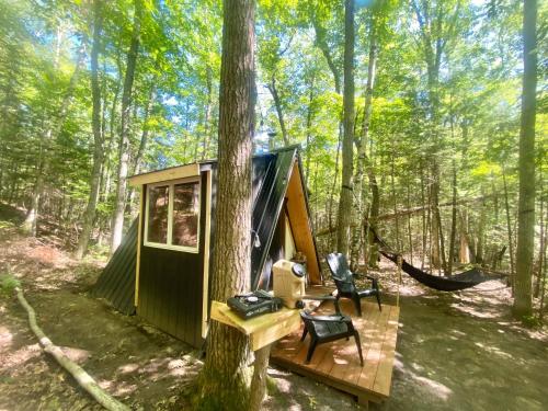 Sailor Springs Glamping - Hotel - Bayfield