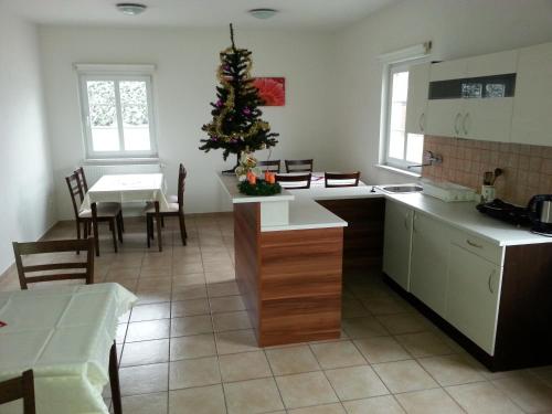 Konyha, Guest House Stary Sedlonov in Trutnov