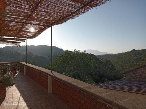  Radici Dimora natura cultura in Campagnola