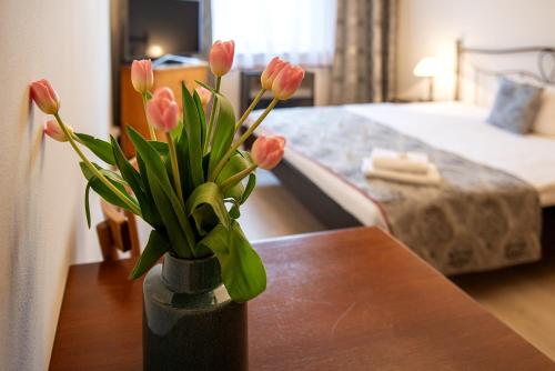 Pension Hattrick - image 5