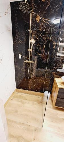 AJP Gold Szczecin Dąbie AJP Gold Szczecin Dąbie