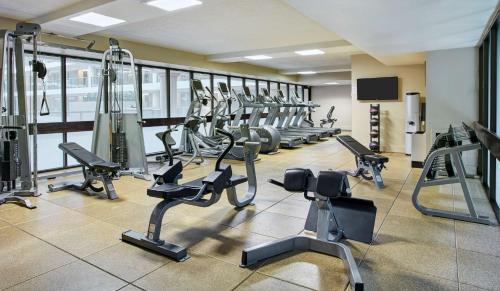 Embassy Suites by Hilton Washington DC Georgetown - image 5