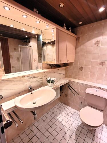 Winterberg Appartement 21077 - image 10