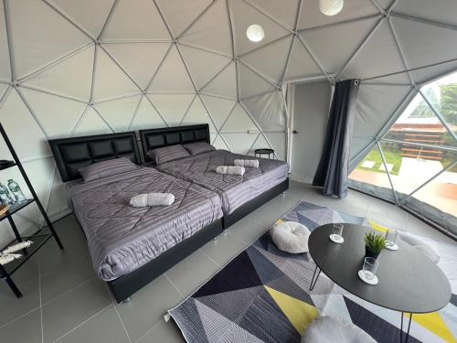 카오코 See Scape Camping Khaokho 3성급 게스트하우스 스위트룸