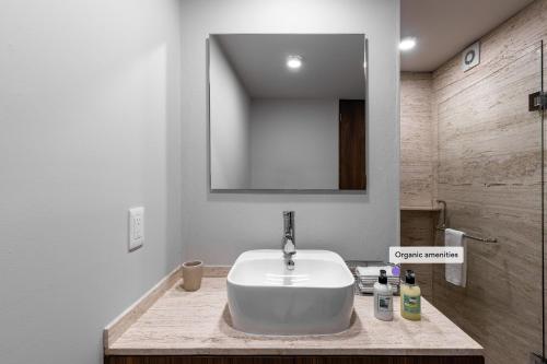 Roma Norte Trendy Apartments by VIATO Roma Norte Trendy Apartments by VIATO