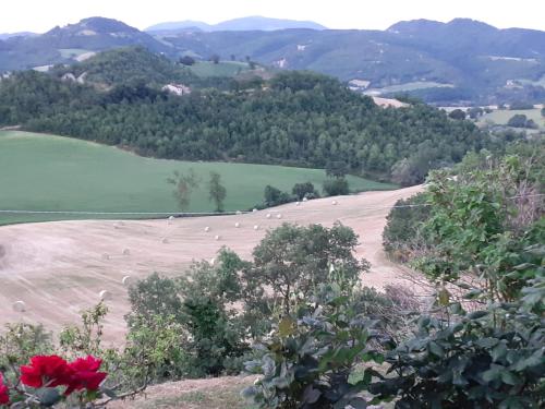 View, Suite con Bagno in villa esclusiva - Urbino in San Lorenzo In Campo