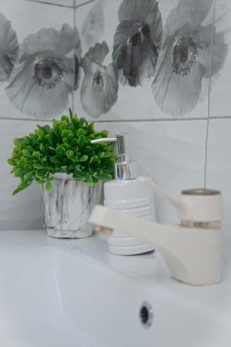 Athens Core Comfort, Atenas (foto 9)
