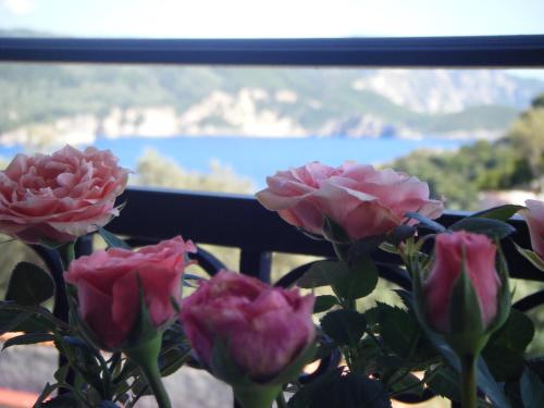  Paradise Apartments in Paleokastritsa