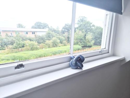 Hyland Apartment by CityNest in Springfield