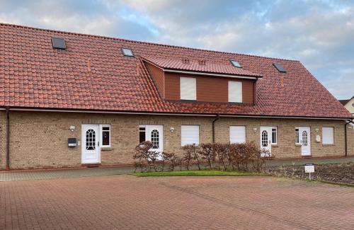 Silbermöwe in Norddeich, Deutschland