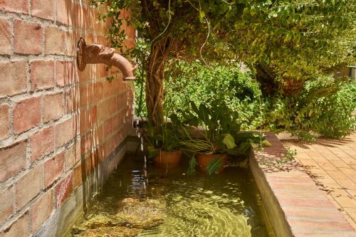 Garden, Casa da Lameira in Alcantarilha