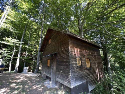 Vikendica Green Forest, Zenica