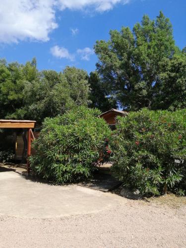 Les chalets de Palavesa 5