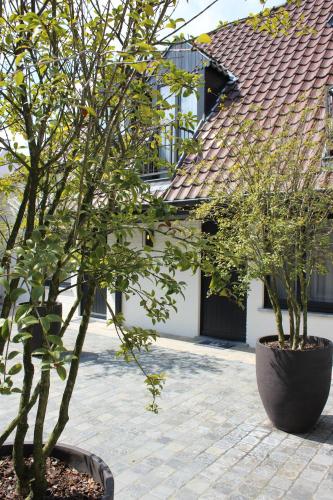 Hotel Prinsenhof managed by Dukes' Palace - image 3